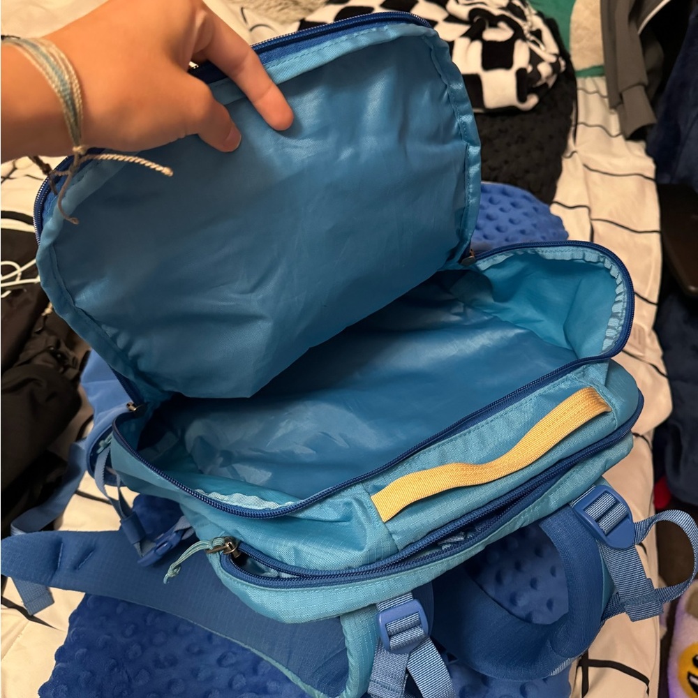 patagonia back pack